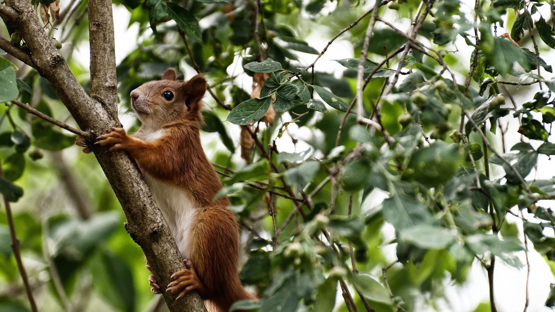 Kering-战术演绎：不同球队的特色攻防战术分析，篮球比赛中,攻防战术都包括